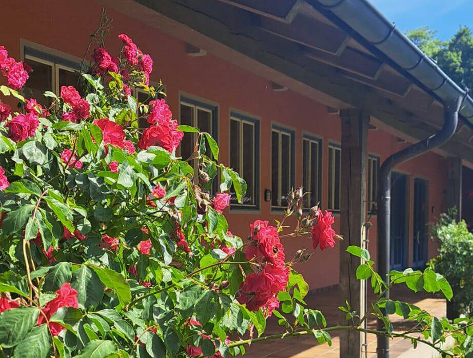 Unser Atrium in voller Blüte